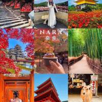 TOUR _KYOTO_NARA_CHÙA_BÚP_BÊ