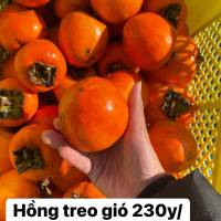 HỒNG TREO GIÓ