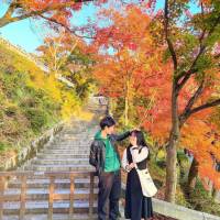 TOUR NGẮM LÁ ĐỎ KYOTO - KATSUOJI - NARA