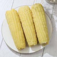 NGÔ NẾP DẺO COMBO 10 BẮP