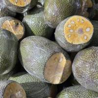 MÍT VIỆT NAM