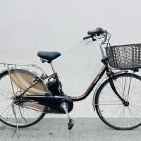 PASS XE ĐẠP ĐIỆN PANASONIC