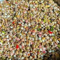 ỐC RUỐC TÚI 500G