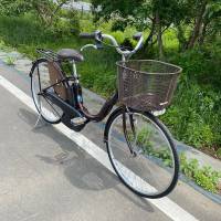 PASS XE ĐẠP ĐIỆN YAMAHA ASISTA