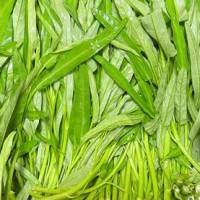 RAU MUỐNG TƯƠI NGON