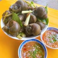 ỐC SÔNG