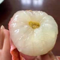 VẢI THIỀU TƯƠI