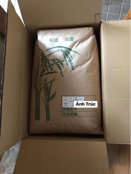 GẠO NGON KIỆN 30KG