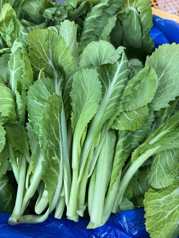 RAU CẢI BẸ XANH