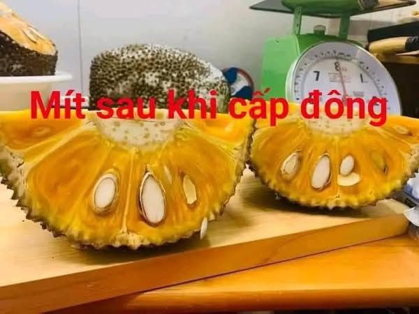 MÍT VIỆT NAM CẤP ĐÔNG