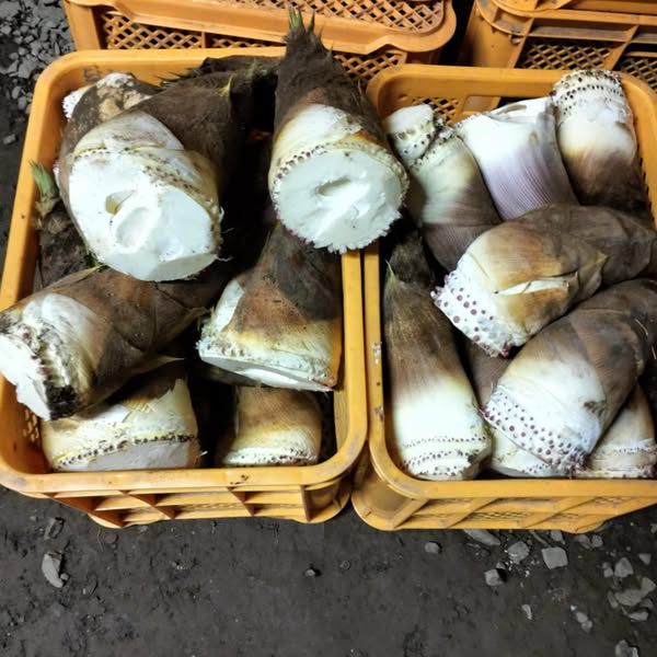 MĂNG TƯƠI GIÁ RẺ