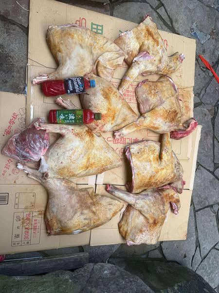 THỊT NAI LỌC XƯƠNG COMBO 5KG