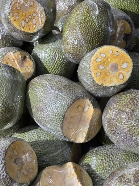 MÍT VIỆT NAM