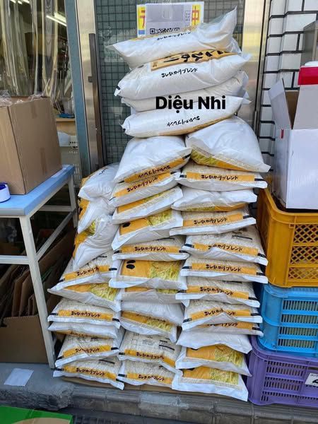 GẠO DẺO IBARAKI COMBO 30KG
