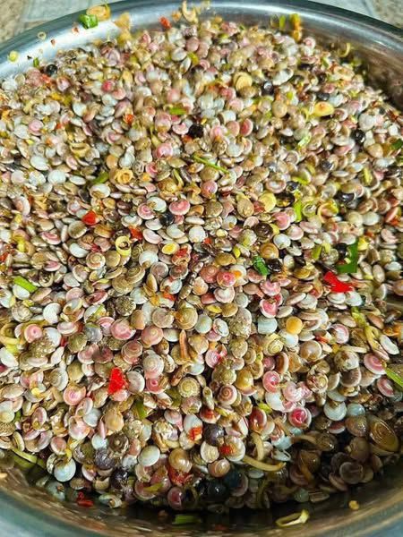 ỐC RUỐC TÚI 500G