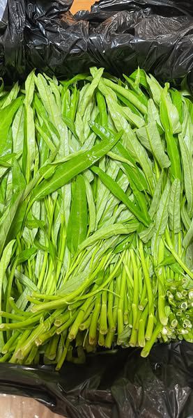RAU MUỐNG TƯƠI NGON