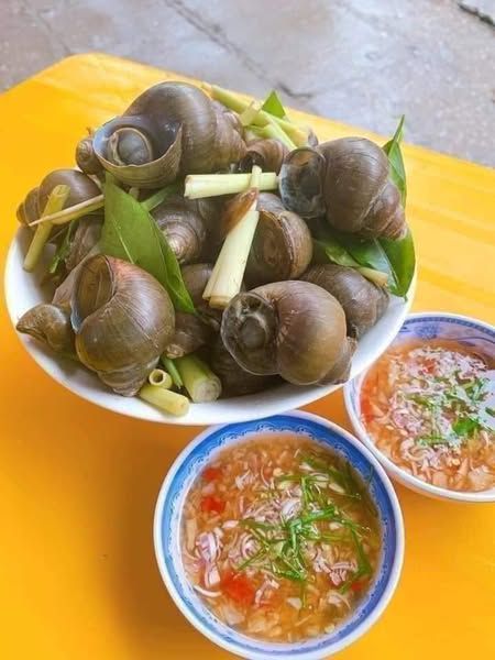 ỐC SÔNG