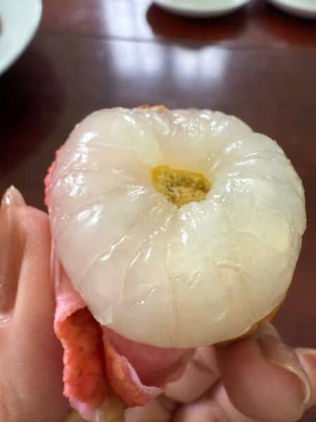 VẢI THIỀU TƯƠI