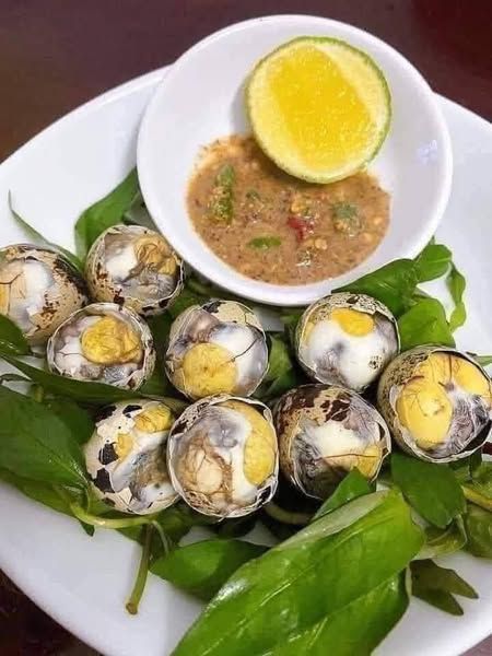 TRỨNG CÚT LỘN