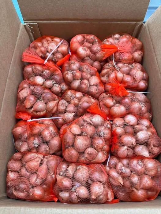 HÀNH KHÔ KINH MÔN HẢI DƯƠNG